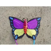 Didak Beach Pinky Winky Vlieger - 52x73 cm