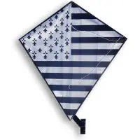 Didak Beach Hermine Diamond Vlieger - 60x65 cm