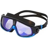 Huub Ryft Mirror Swimming Goggles Zwart Blue
