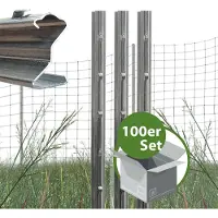 Baumarktplus TRUTZHOLM - Z-profiel Afrasteringspaal Set van 100 - 150 cm - 1,5 mm Dik - Thermisch Verzinkt - Gestanste Haken - Bosprofiel Paal