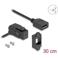 DeLOCK Keystone-module, Mini DisplayPort-aansluiting naar DisplayPort-aansluiting, 45 graden gekanteld, met 30 cm kabel, 8K 30 Hz, zwart