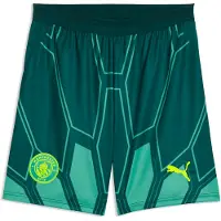 Puma Sportbroek neongroen / donkergroen