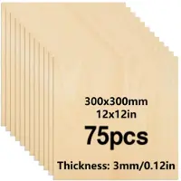 OEM Onbehandeld hout, premium kwaliteit, milieuvriendelijk materiaal, 75 stuks, 3 mm dik, 300x300 mm