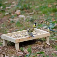 Cj Wildlife Grondvoedertafel |