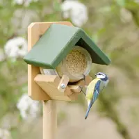 Cj Wildlife Pindakaaspothouder Dublin op paal |