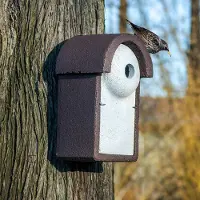 Cj Wildlife Nestkast Spreeuw WoodStone 45 mm | Speciale nestkasten |
