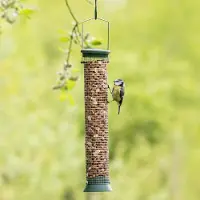 Cj Wildlife Pindasilo Challenger Kunststof 38 cm Groen | Vivara | Veilig pinda's voeren aan vogels | Groot formaat silo voor pinda's