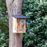 Cj Wildlife Protector Beaumont Nestkast 28 mm | | | | Partner van Vogelbescherming Nederland