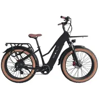 Bohlt Q26 - Elektrische Fatbike - 26 inch - 250W Motor - 750Wh Uitneembare Accu - Hydraulische Schijfremmen - Actieradius tot 80 km - Zwart
