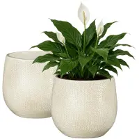 Mica Decorations Plantenpot - 2x - keramiek - wit glans / ribbels - D17 x H18 cm - bloempot Havana