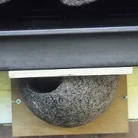Cj Wildlife Huiszwaluw Kunstnest Enkel (ingang Links) | Speciale nestkasten | Vivara | Zwaluwnest van houtbeton | Aanbevolen door Vogelbescherming Nederland