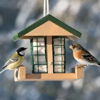 Cj Wildlife Vetblokhouder Moldau | | Voedersystemen | Partner van Vogelbescherming Nederland