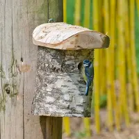 Cj Wildlife Nestkast Stockholm 28 mm | |