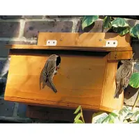 Cj Wildlife Ruim Vogelhuis voor Mussen (huismus & ringmus) | Ideaal voor het broedseizoen |