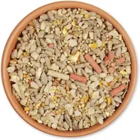 Cj Wildlife Knibbel En Knabbelmix 2,5 kg | Vogelvoer | Geschikt voor: voedersilo, voedertafel | Vivara | Speciaal voor kleine vogels | Energierijke voedermix