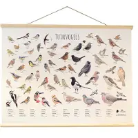Vogelbescherming Elwin van der Kolk wandposter tuinvogels