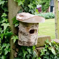 Cj Wildlife Nestkast Winterkoning Uppsala halfopen | |