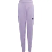 Adidas Sportbroek 'Z.N.E.'