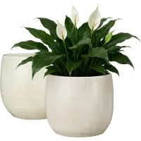 Mica Decorations Plantenpot - 2x - keramiek - wit glans / ribbels - D31 x H32 cm - bloempot Havana