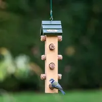 Cj Wildlife Energierolhouder Aurora |