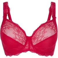 Lingadore BH rood