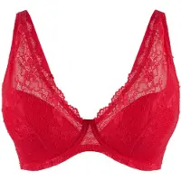 Lingadore BH rood