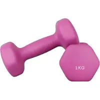 Songmics - Dumbells - Dumbells 1 kg - Hexagon Dumbells - 2 Stuks van 1 kg - Voor Krachttraining Thuis