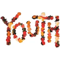 Modulor Cnt YOUTH (10TH ANNIVERSARY / FLOWER PETAL)