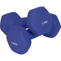 Songmics - Dumbells - Halterset 2 Stuks - Halters met Hexagon Vorm - Neopreen Coating