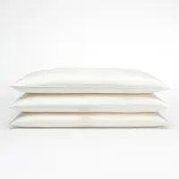 Silk Heaven Serene hoofdkussen met vulling van 100% moerbeizijde – zijden tijk - - 40x80cm