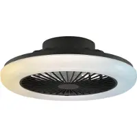 Brilliant Plafondventilator met LED lamp | Montero | Ø 42 cm | 2700-6500K | Zwart | 20W |