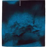Mammut Unisex Fleec Choker Blauw