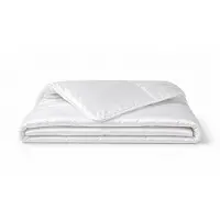 Eleganzzz 100% Bamboe Viscose Enkel Dekbed - 240x220 - All Year Dekbed - Anti Allergie - 500 gr/m2 - All Year Dekbed Dekbed 240x220 - Lits Jumeaux Extra Lang - Dekbedden