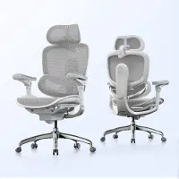 Sihoo Doro C300 V2 Ergonomische Bureaustoel - Dubbele Dynamische Lendesteun - 6D Gecoördineerde Armleuningen - Verstelbaar voor Werk en Gaming - Wit