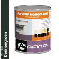 Afinol Hoogglans Lakverf Dennengroen (RAL 6009) 750 ml