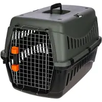Kerbl Transport box - - Eco - Gray/green - 58 ? 38 ? 38 cm