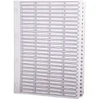 Exacompta 2x Bedrukte tabbladen met geplastificeerde tabs - 1 tot 100 - Mylar Wit - Wit - MWD1-100Z