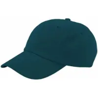 Colorful Standard Pet Unisex Organic Cotton Cap Ocean Green