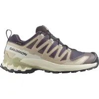 Salomon XA Pro 3D V9 GTX Wandelschoenen Dames