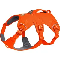 Ruffwear Webmaster Harness