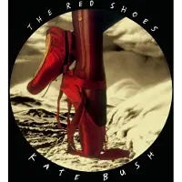 Kate Bush - Red Shoes (Indie Exclusive) (180 g) (Remastered) (Dracula Red Coloured) (2 LP)