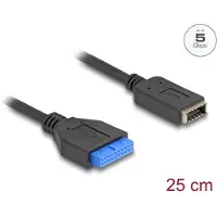 DeLOCK USB 5 Gbps Cable Pin Header female to internal USB Type-E Key A female 25 cm