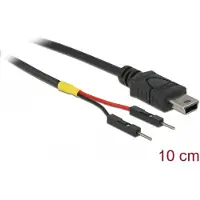 DeLOCK USB Power Cable Mini-B to 2 x pin header male separate power 10 cm