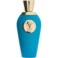 Van Canto Unisexgeuren Parfum Unisex 100ml