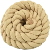 vidaXL Boottouw 6 mm 10 m Naturel