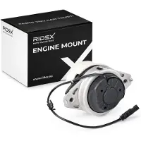 RIDEX 247E1522 Motorsteunlager