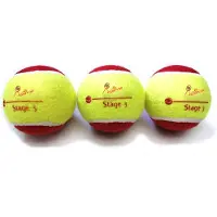 Teloon 12 stuks Stage 3 ITF goedgekeurde tennisballen