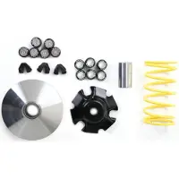 MALOSSI Variateurset Multivar 2000 voor Yamaha X-Max, Majesty 125 – 180cc 4 Takt