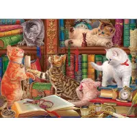 Eurographics Poesjes in de Bibliotheek Puzzel (1000 stukjes)