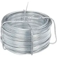 Alberts Draadspoel Ruwstaal Gegalvaniseerd 1,3mm 50m